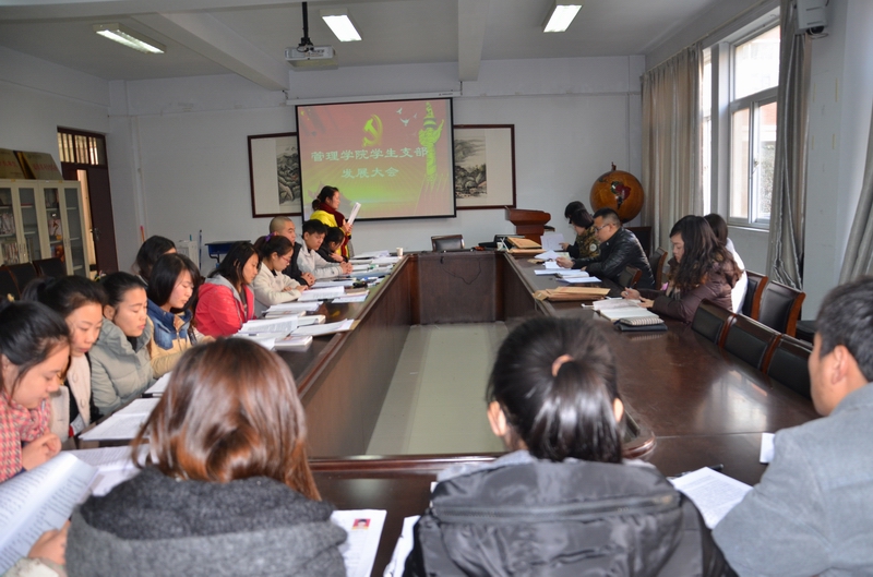 发展大会现场.jpg