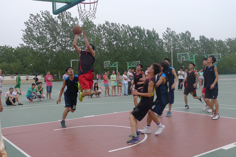 P1160487.JPG